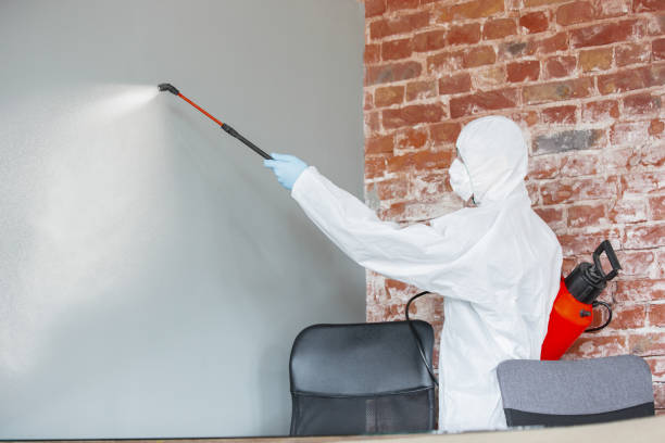 Best Comprehensive Air Testing for Mold Contaminants  in Kentland, IN